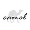 camel2243