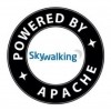 apache-skywalking